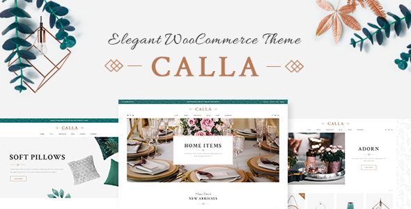 Call WordPress Theme