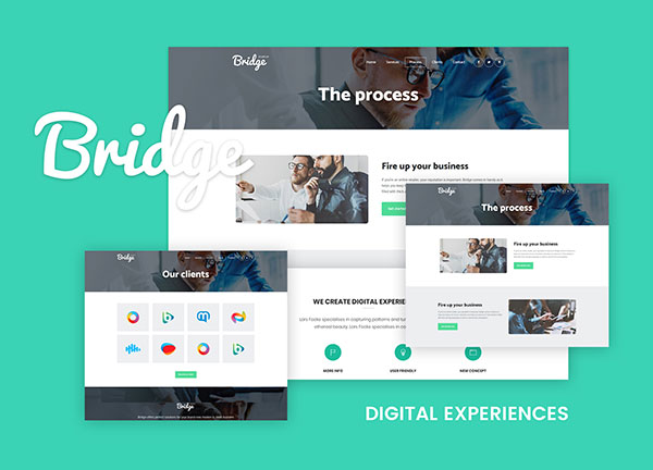 Digital Startup Bridge Theme Demo