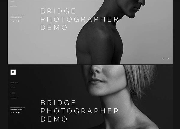 Modern Photography Bridge Theme Demo