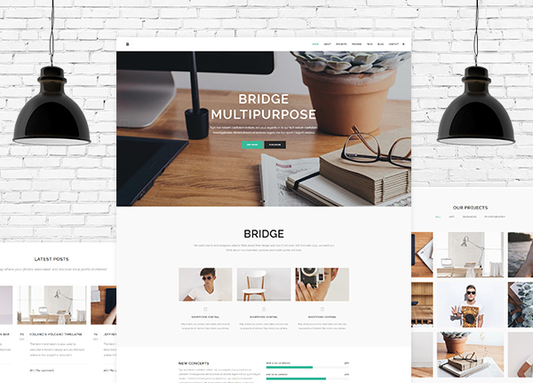 One Page Site Bridge Theme Demo